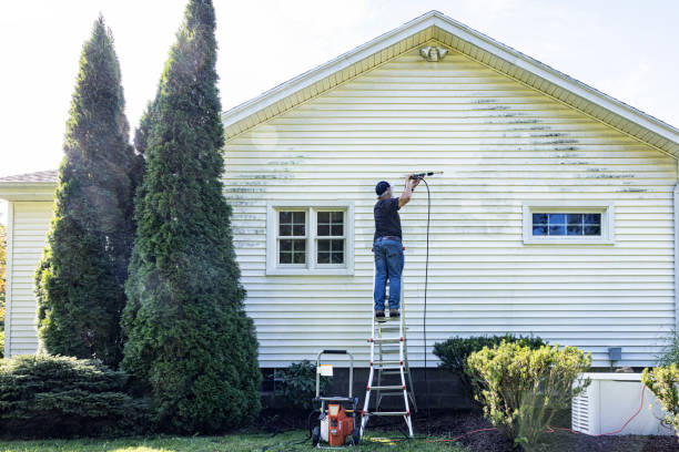 Best Sidewalk and Walkway Cleaning  in Pulaski, WI